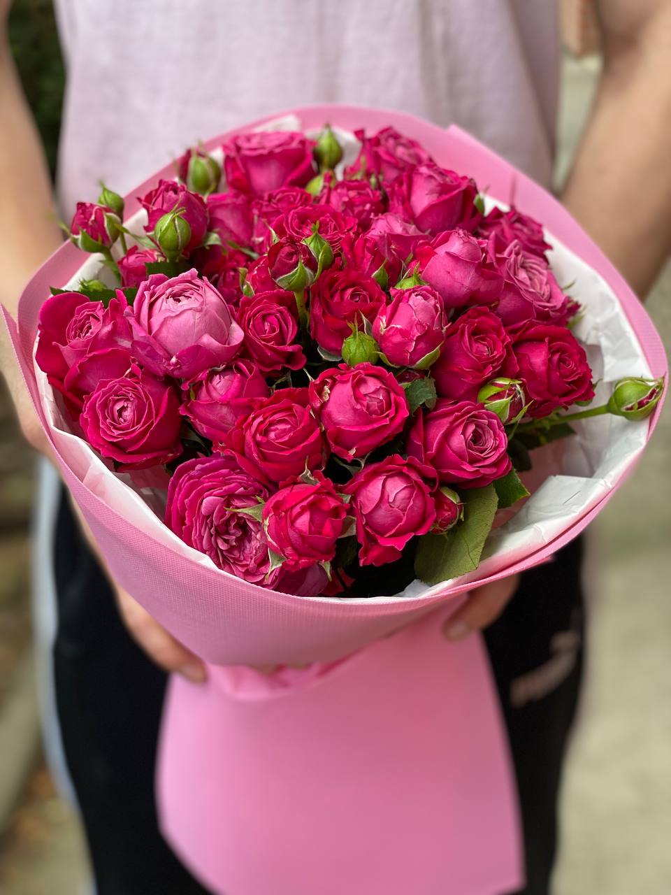 19 verzweigte pfingstrosenähnliche Rosen Sorte Majestic