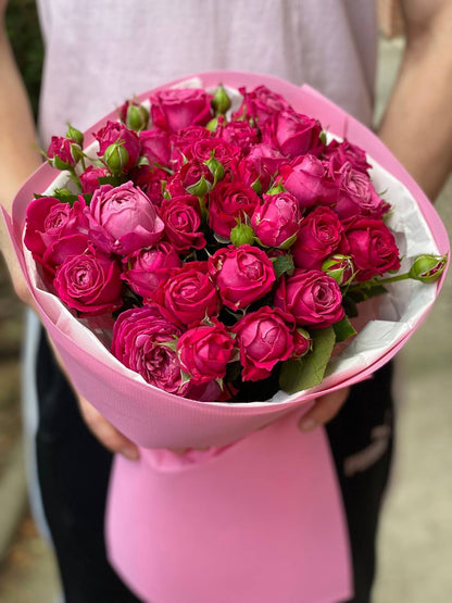 19 verzweigte pfingstrosenähnliche Rosen Sorte Majestic