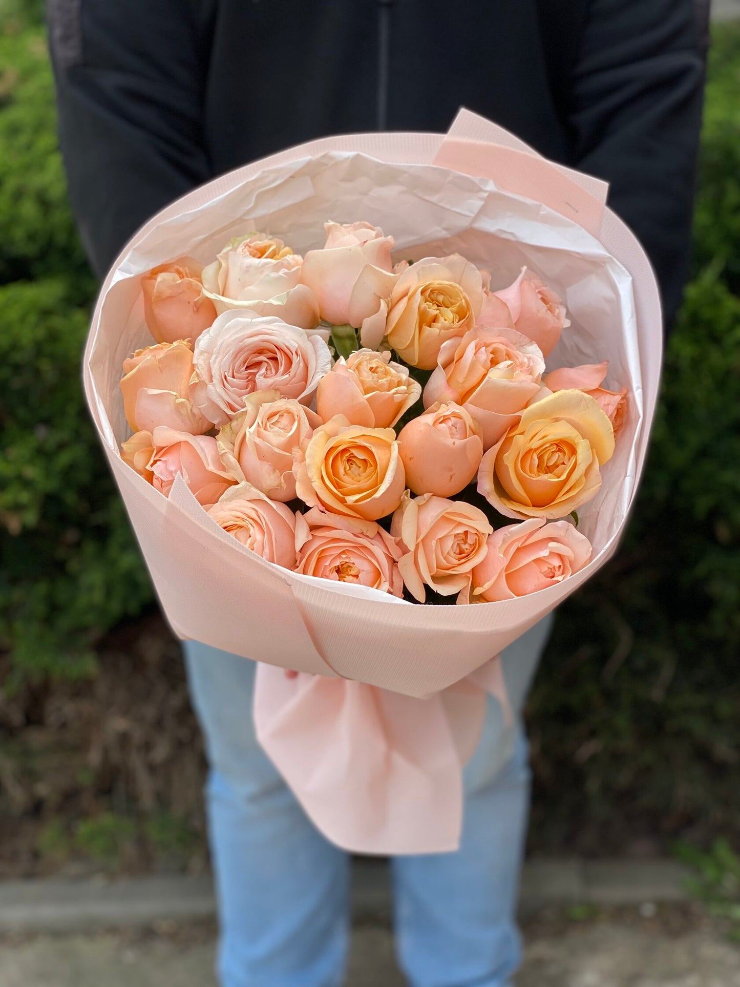 19 Rosen Sorte Ember Sun pudrige Pfingstrosenrosen