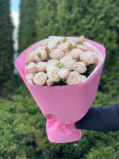 19 pfingstrosenähnliche Rosen Sorte Bombastic