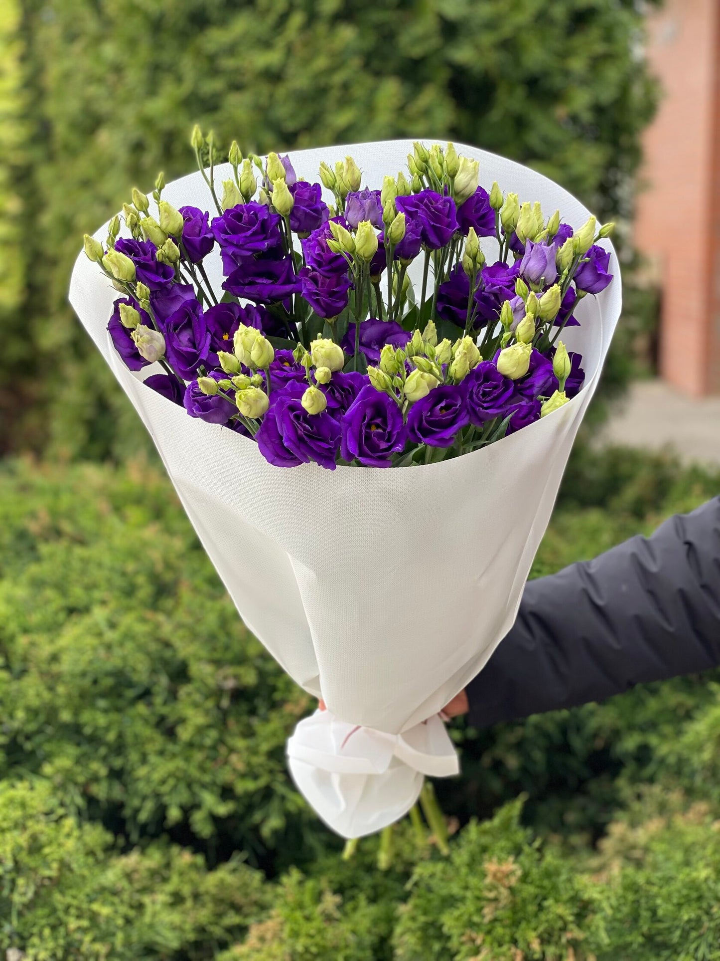 Еустома фіолетова 9 гілочок (70 см)