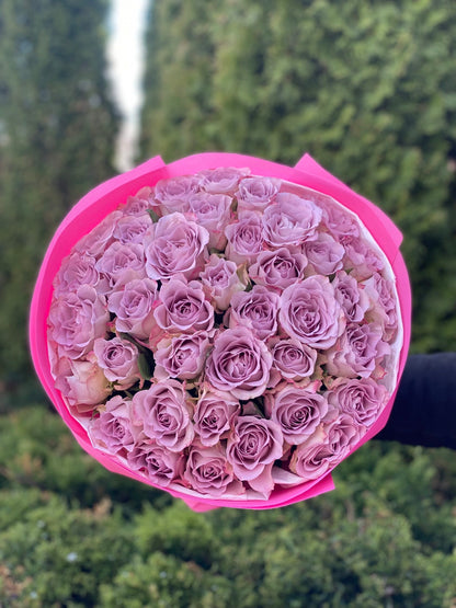 39 Roses Variety Purple Holland