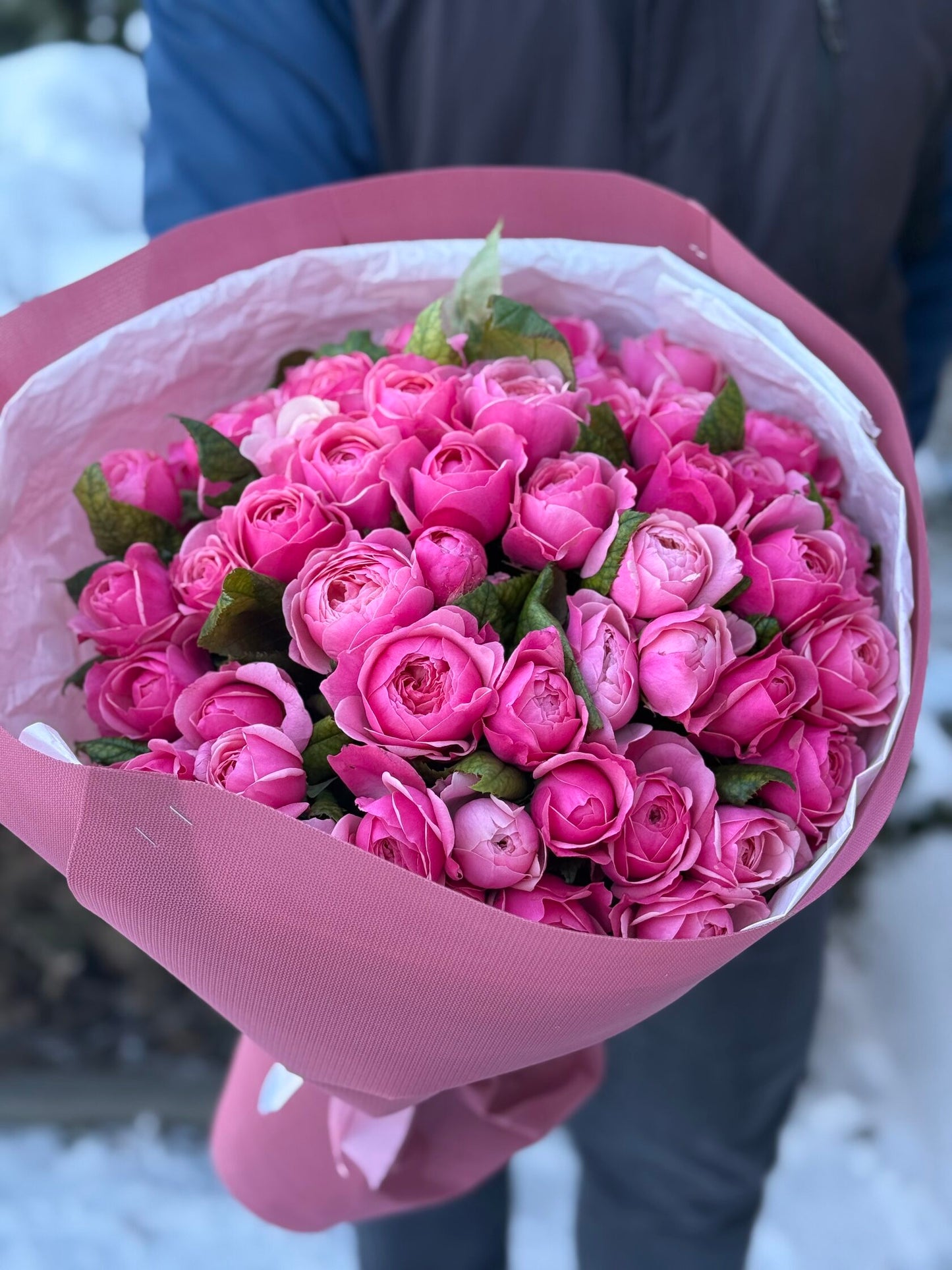 51 Pfingstrosenrosen der Sorte Light