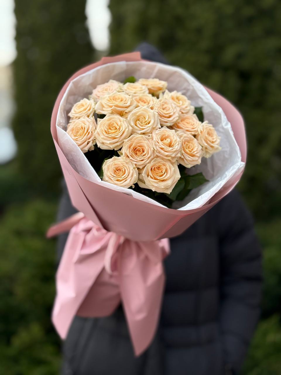19 verzweigte pfingstrosenähnliche Rosen Sorte Tania