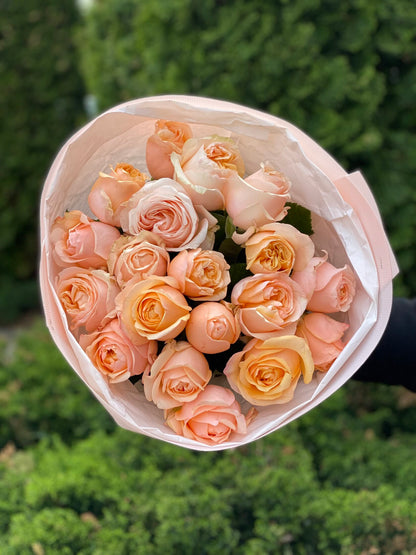 19 Rosen Sorte Ember Sun pudrige Pfingstrosenrosen