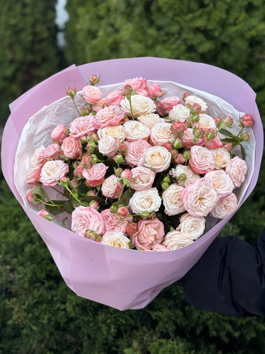 19 pfingstrosenähnliche Rosen Sorte Bombastic
