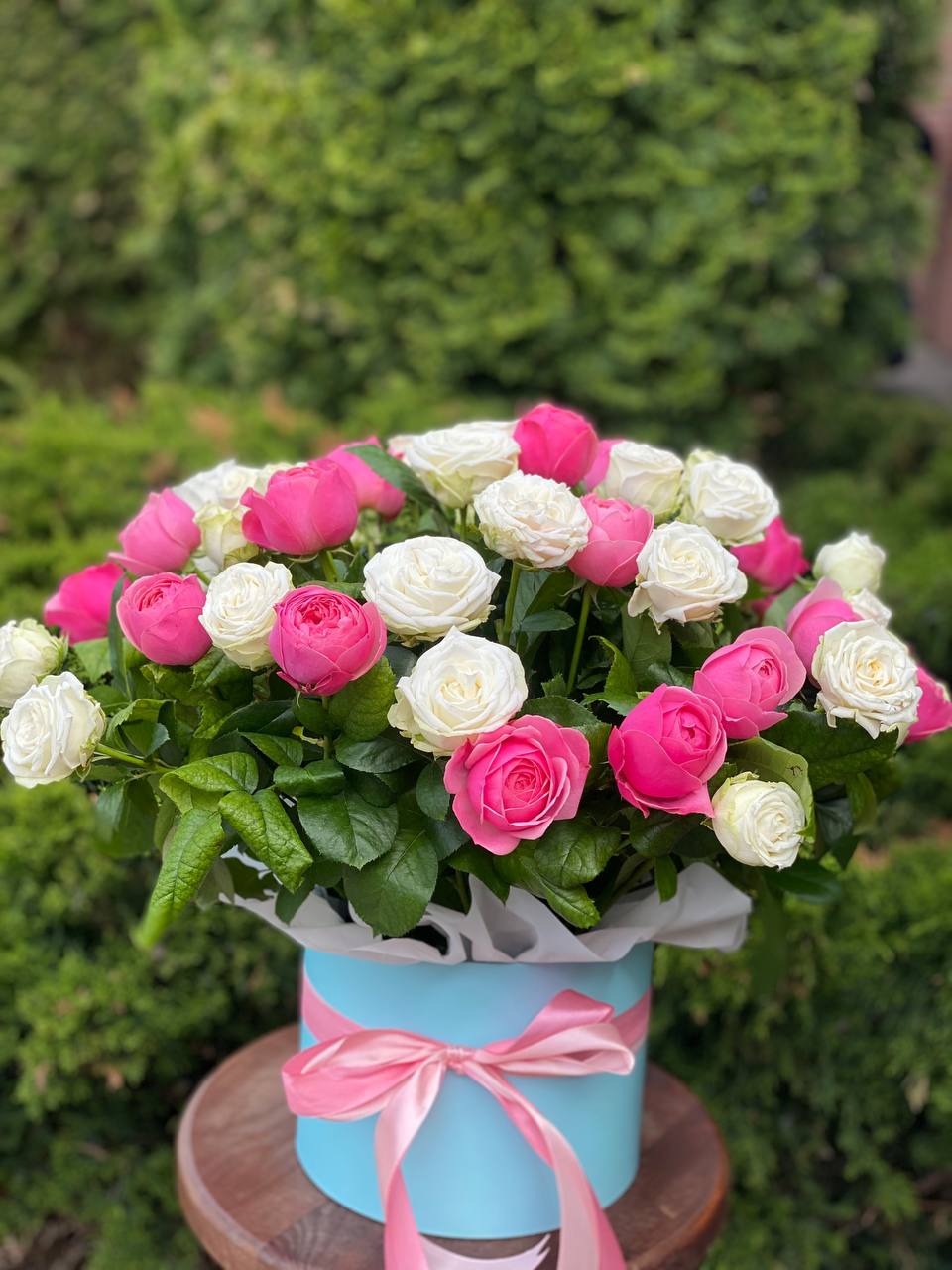 Hutschachtel Größe XL 51 Rosen (Sorte Miss Bombastic und Line)
