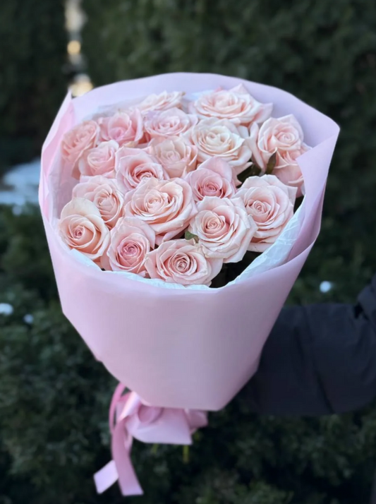 19 Rosen Sorte Kimberly