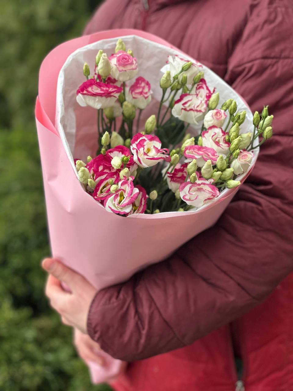 Еустома 9 гілочок біло-червоні (70 см)