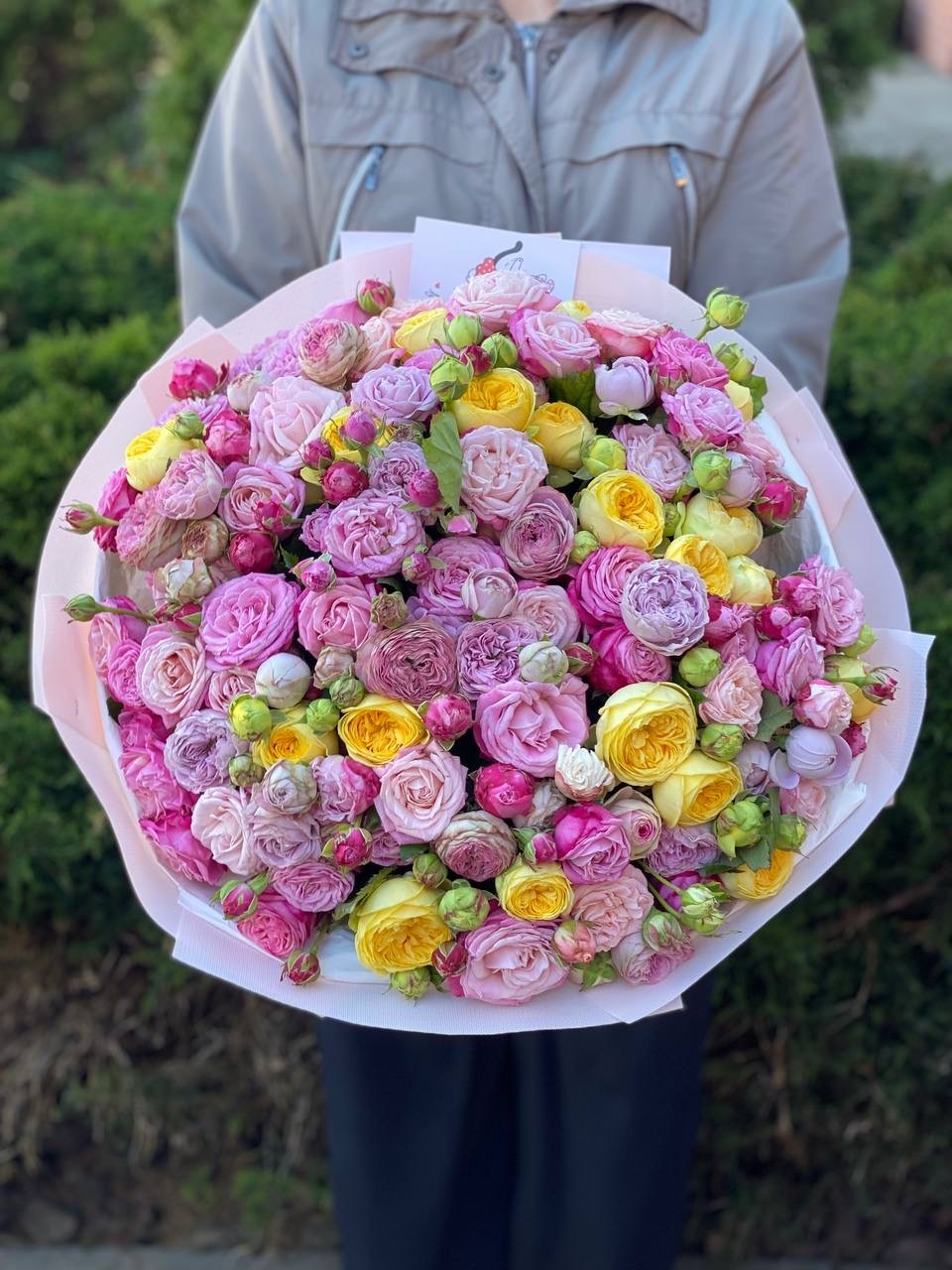 101 Pfingstrosenrosen (Sorte Lady Bombastic, Lavendelfarben, Peony)
