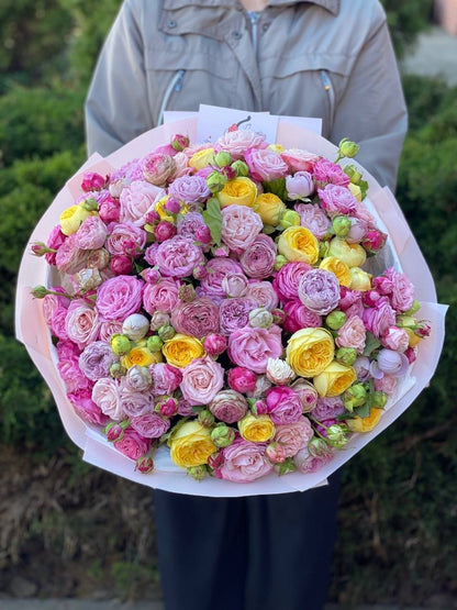 101 Pfingstrosenrosen (Sorte Lady Bombastic, Lavendelfarben, Peony)
