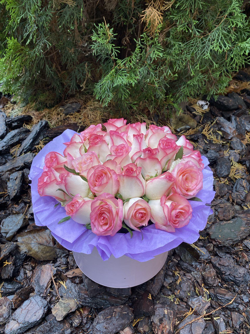Blumen in einer Hutschachtel, Größe M, Sorte Jumilia