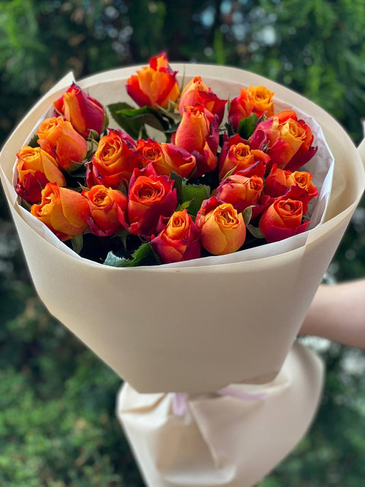 19 Rosen Sorte Holland Orange