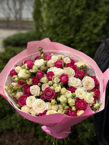 51 Pfingstrosenrosen der Sorten Miss Bombastic und Majestic
