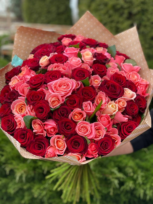101 Rosen Sorte Miss Piggy und Rote