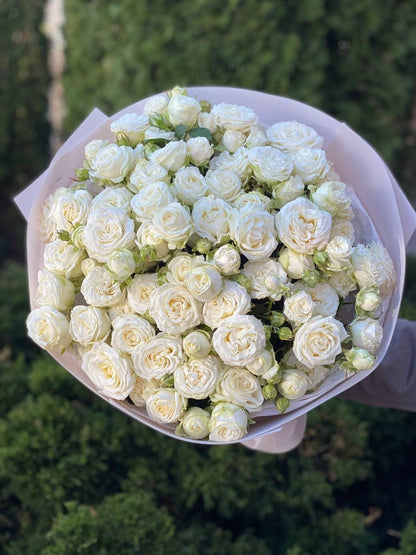 51 pfingstrosenähnliche Rosen, Sorte Miss Bombastic
