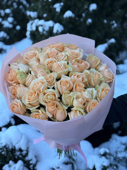 51 Rosen der Sorte Peach Avalanche
