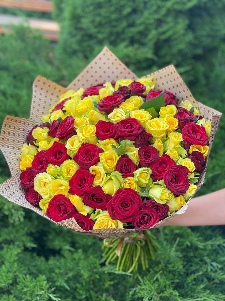 101 Rosen Sorte Gelb und Grand Prix