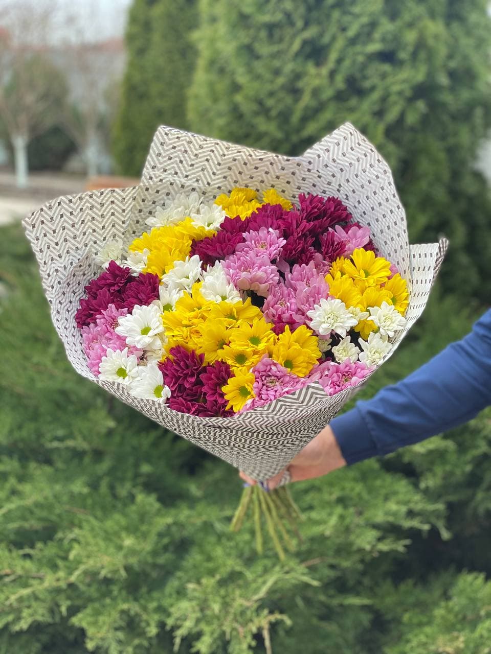 19 ромашкоподібних хризантем (колір червоний, білий, жовтий та фіолетовий)