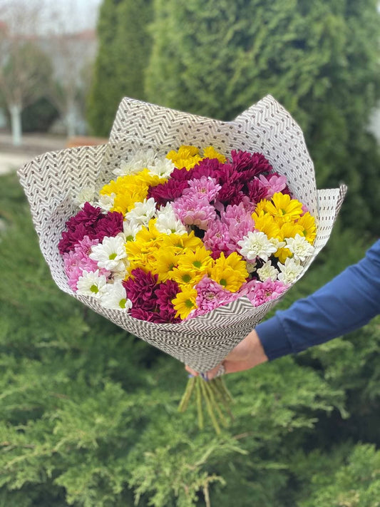 19 ромашкоподібних хризантем (колір червоний, білий, жовтий та фіолетовий)